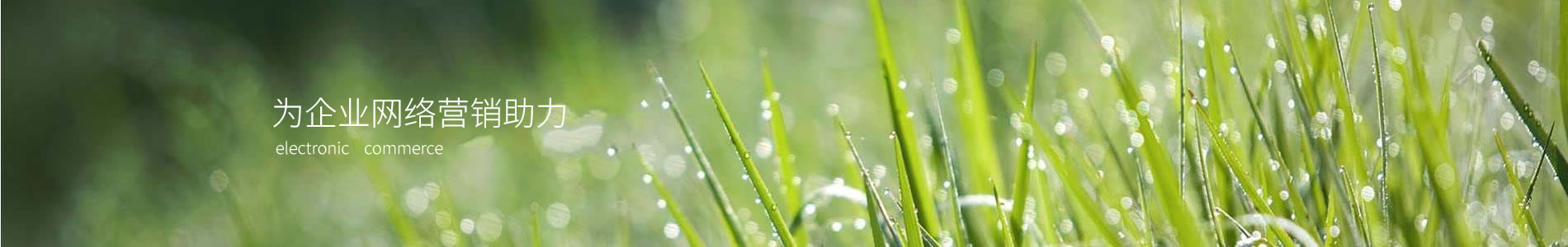 ݼȻƼ޹˾